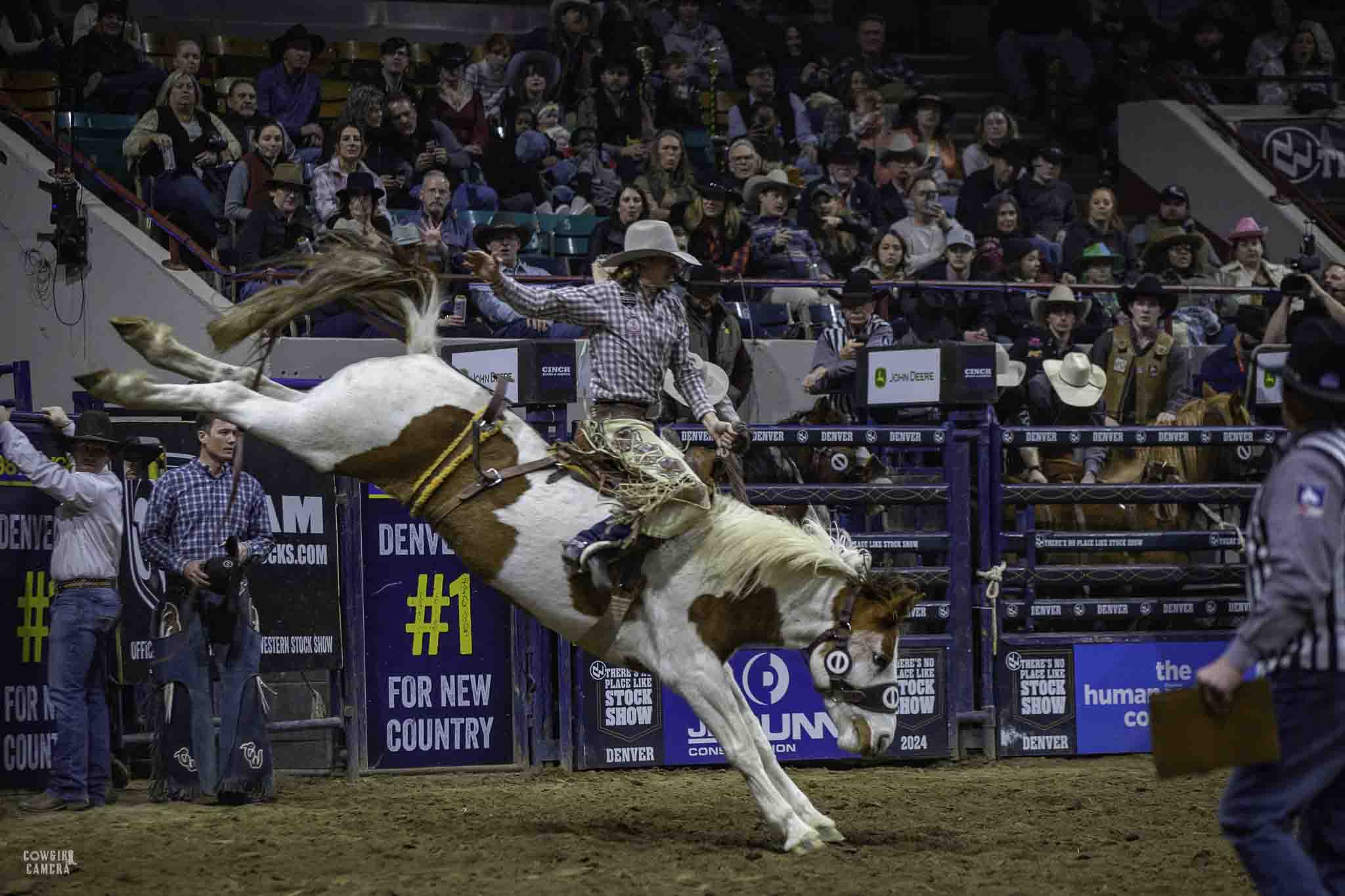 Beautiful paint bronc in perfect position and the rider in perfect position