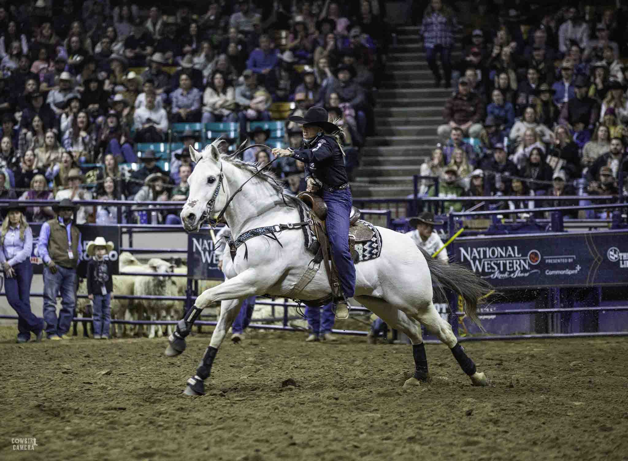 Barrel Racer on Beautiful Gray horse, running for home