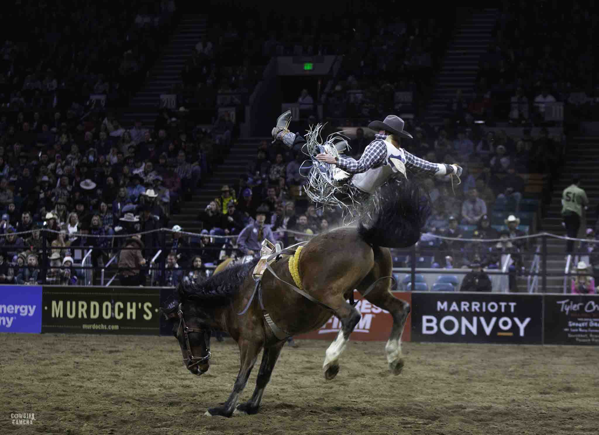 Bronc Rider getting bucked off and bouncing on the horse's butt with his butt as he's falling