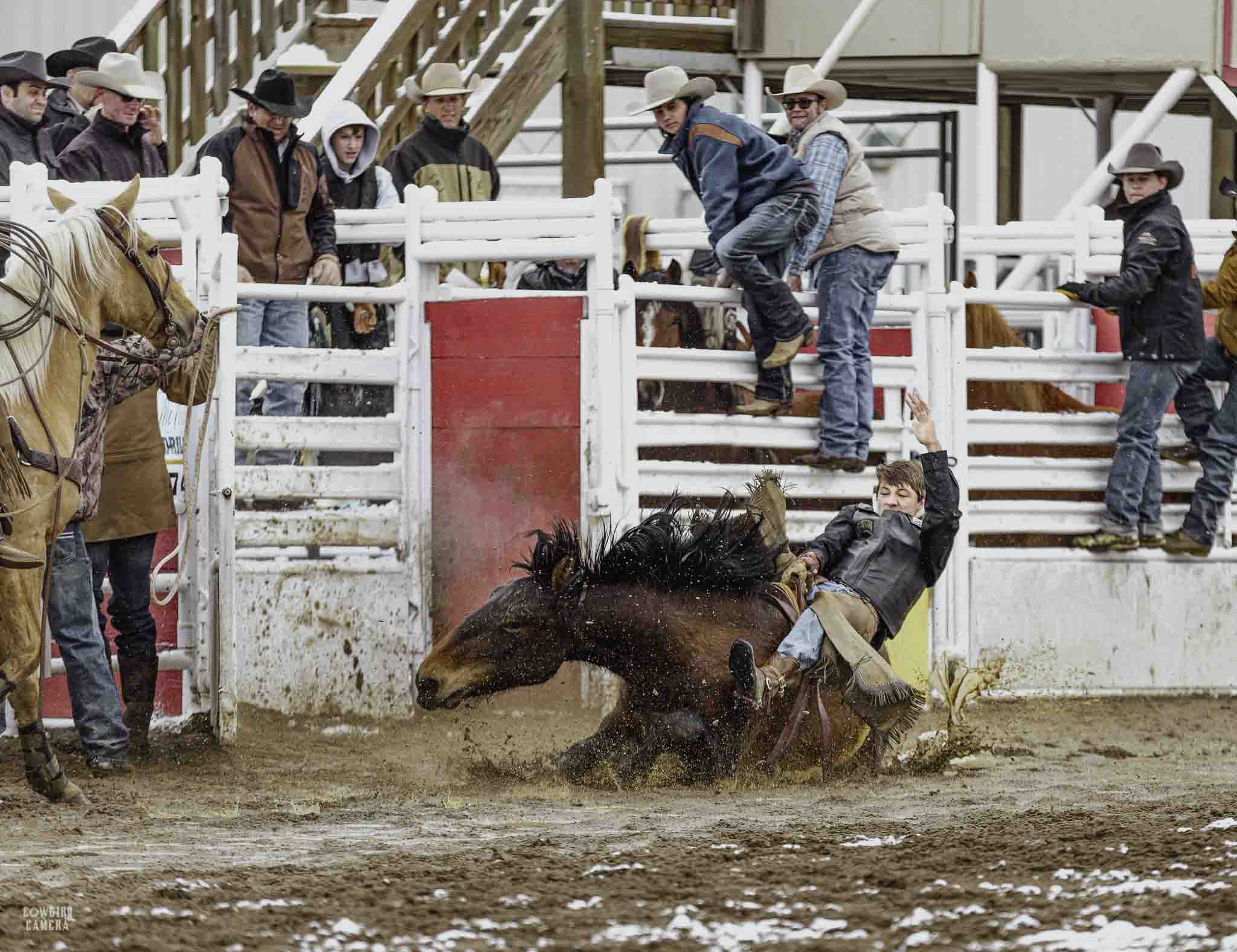 Bronc sits all the way down in the mud during a high school rodeo